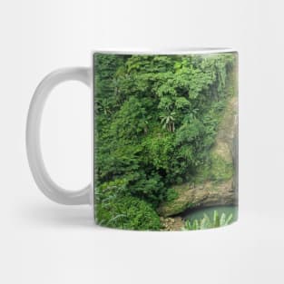 Alalum Falls, Sumilao, Bukidnon, Mindanao, Philippines Mug